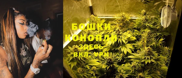 прущие крисы Абаза