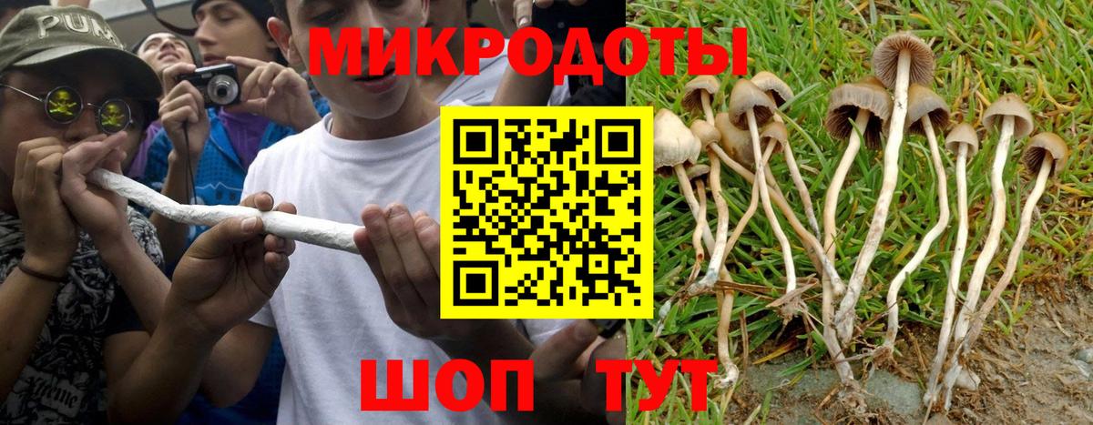Галлюциногенные грибы Psilocybe Стерлитамак