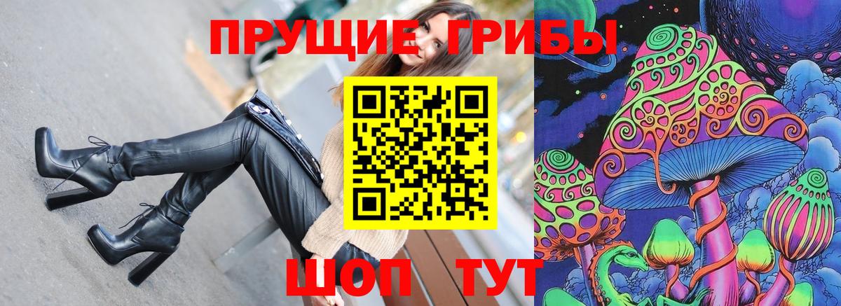 Стерлитамак  Псилоцибиновые грибы мухоморы  даркнет сайт  Вход с VPN 